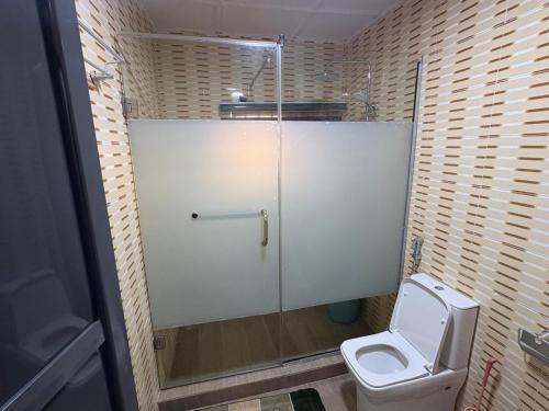 um banheiro com vaso sanitário e box de vidro em Avapartmentrentals em Okunola