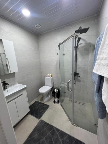 Ένα μπάνιο στο Chișinău Quiet Stay