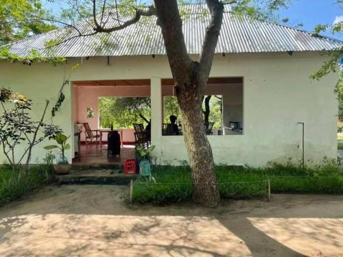 a white house with a tree in front of it at Camp Zora Selous in Kwangwazi