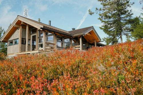 Κήπος έξω από το Design Cabin With Panoramic Views Near Sjusjøen