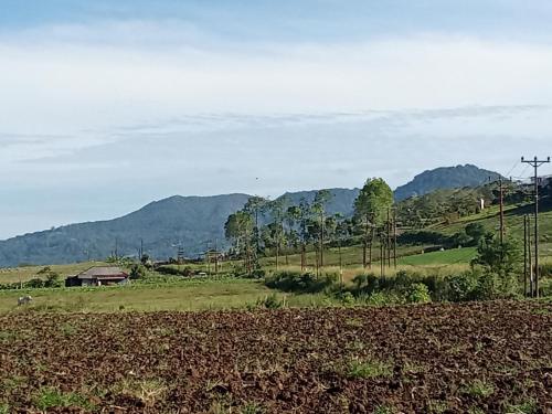 un campo con una granja y montañas al fondo en Castello, en Tomohon