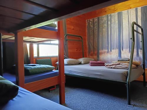 Ένα ή περισσότερα κρεβάτια σε δωμάτιο στο JunoHall Backpackers