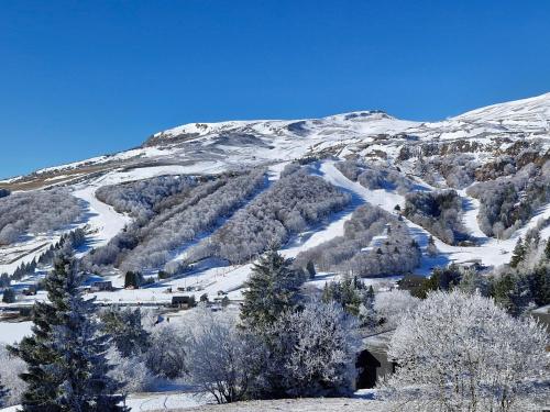 Studio confortable pour 5 personnes au pied des pistes de Super Besse - FR-1-814-3