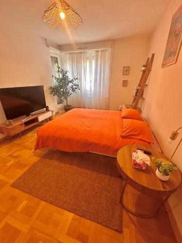 Entire Apartment 2 Bedrooms Up to 4 Guests