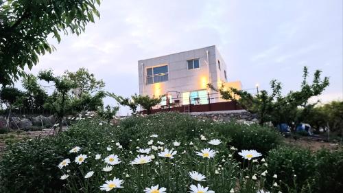 Vườn quanh Antonio's Farm