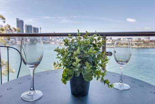 a table with two wine glasses and a potted plant at Wake up to Sydney Harbour in Sydney