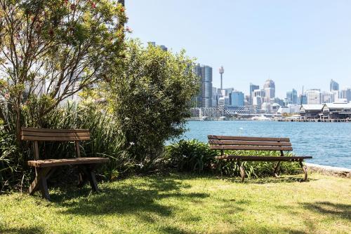 two benches sitting on the grass near the water at Wake up to Sydney Harbour in Sydney