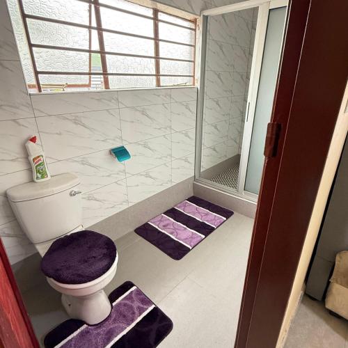 a bathroom with a toilet and purple rugs at Rest Haven Apartments Meanwood in Lusaka