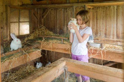 a young girl holding a baby lamb in a barn at Pension Bergbauernhof Irxner in Schladming