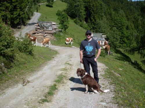 a man and his dog on a dirt road with cows at Pension Bergbauernhof Irxner in Schladming