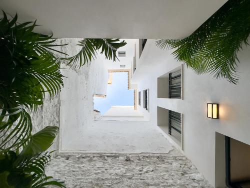 Coeo Frailes Design Apartments photo 52