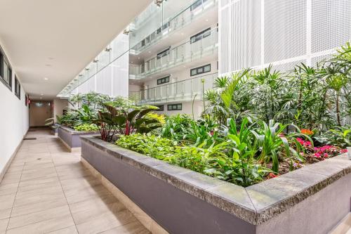 a corridor of an office building with plants at Coastal 2-Bed Apartment near Beach in Deewhy
