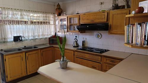 a kitchen with wooden cabinets and a potted plant on a counter at Bushman Spoor Backpackers in Soweto