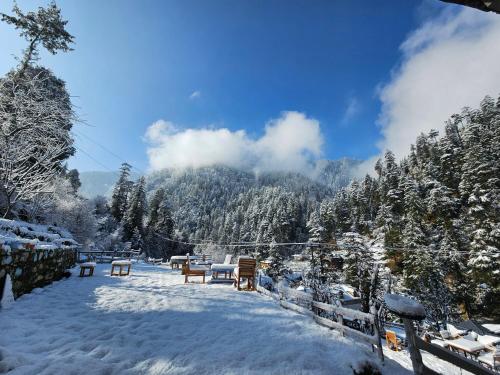 Neti Neti Cafe & Stay durante el invierno