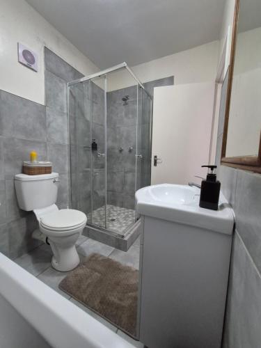 ein Badezimmer mit Dusche, Toilette und Waschbecken in der Unterkunft Mlangeni's Rest in Centurion