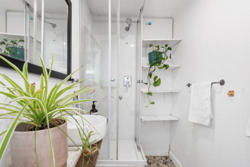 墨尔本Melbourne Beach guests house 2km CBD的带淋浴、卫生间和植物的浴室