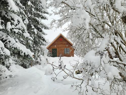 a log cabin in the snow with trees at Fuchs & Has` in Marienberg