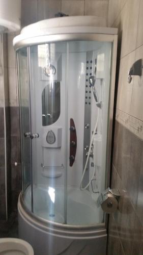 a shower with a glass door in a bathroom at Apartments Agape in Belgrade