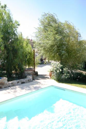 a blue swimming pool in a yard with trees at Le Coste Casa Vacanze in Scarlino