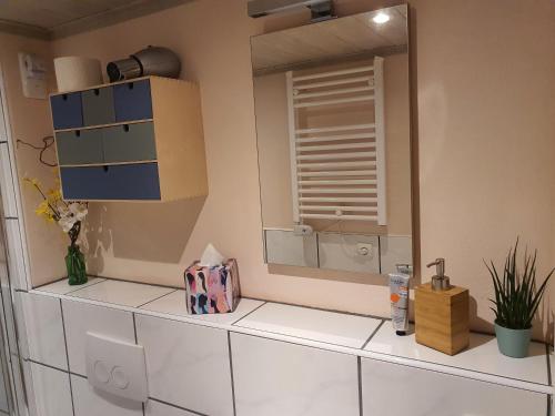 a bathroom with a mirror and a sink at Apartment Altenhof in Altenhof