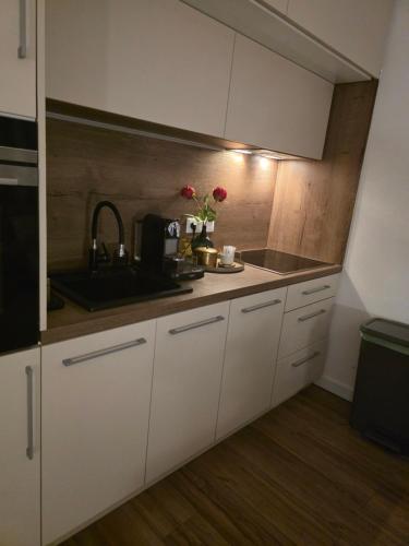 Kuchyň nebo kuchyňský kout v ubytování Airport nest Sarajevo