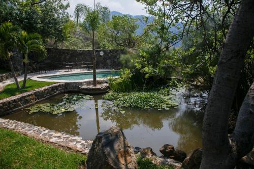 a swimming pool in the middle of a garden at Hostal de la Luz - Spa Holistic Resort in Tepoztlán