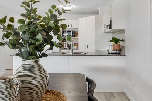 un vaso con una pianta appoggiata su un tavolo in cucina di 3-Bed Haven with Balcony and BBQ, 5-Min to Beach a Coolum Beach
