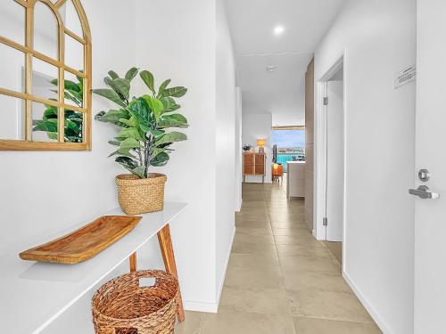 a hallway with a table and a potted plant at 3-Bed: Riverfront Alfresco Dining & Rooftop Pool in Batemans Bay