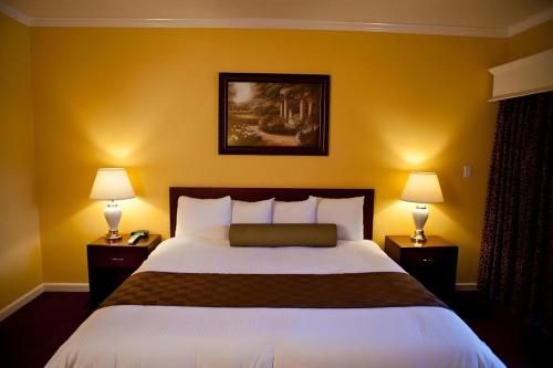 ein Schlafzimmer mit einem großen Bett mit zwei Lampen in der Unterkunft Hotel Saddleback in Norwalk