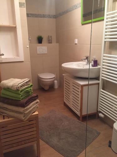 ein Bad mit einem Waschbecken und einem WC in der Unterkunft Lillys Ferienhaus in Sankt Andreasberg