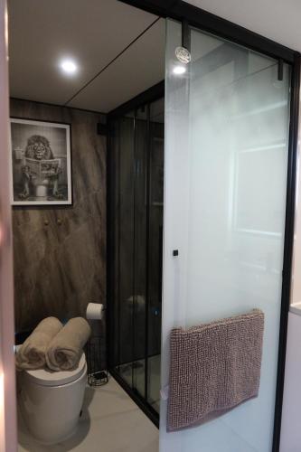 プレスタティンにあるGalactic getaways PLUTOのトイレとガラスのシャワー付きのバスルーム