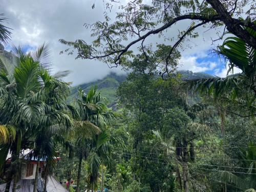 Afbeelding uit fotogalerij van Rockvin hotels in Mulhalkelle