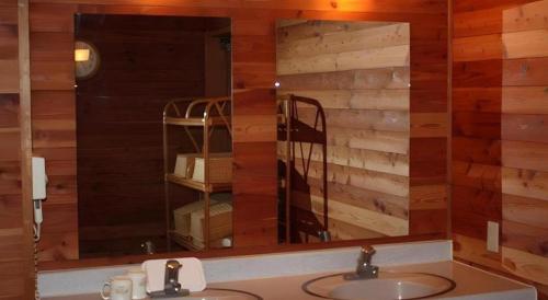 une salle de bain avec un lavabo et un miroir dans l'établissement Petit Hotel Hoshi no Shizuku, à ÅŒshio