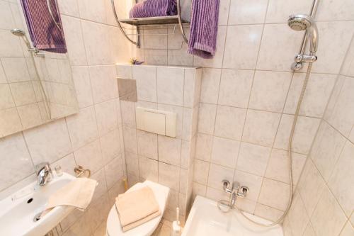 ein Bad mit einem Waschbecken, einem WC und einer Dusche in der Unterkunft Apartment Favoritenstraße in Wien