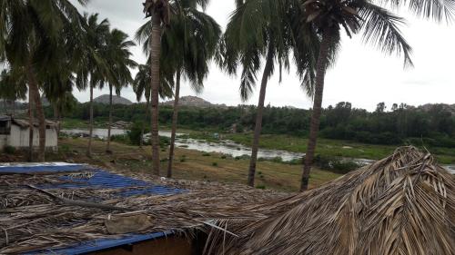 a pile of straw on top of a building with palm trees at Kiran River View Guest House in Hampi