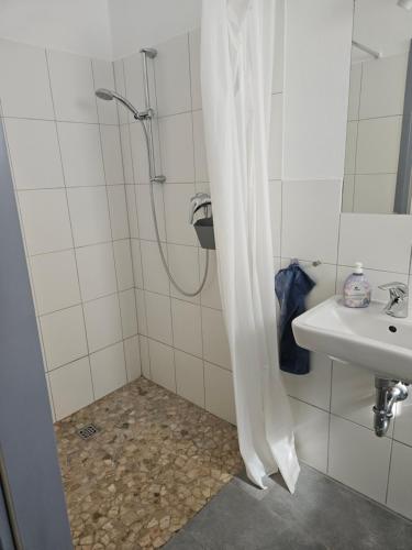 ein Badezimmer mit Dusche und Waschbecken in der Unterkunft EifelFerienscheune in Wiesbaum