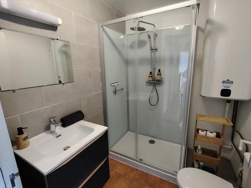 a bathroom with a shower and a sink and a toilet at Chez Adèle in Le Mont Saint Michel
