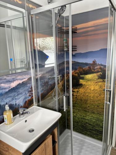 a bathroom with a shower and a white sink at Berghütte Astenpanorama in Winterberg