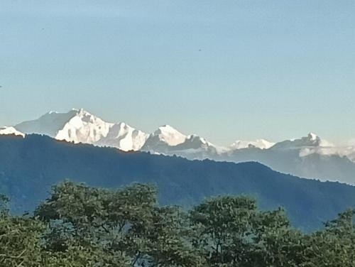 Imagen de la galería de Green Wings Homestay Gumbadara By StayApart, en Lava