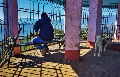 Imagen de la galería de Green Wings Homestay Gumbadara By StayApart, en Lava