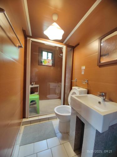 a bathroom with a toilet and a sink and a shower at Ferellee Beach Front Inn in San Vicente