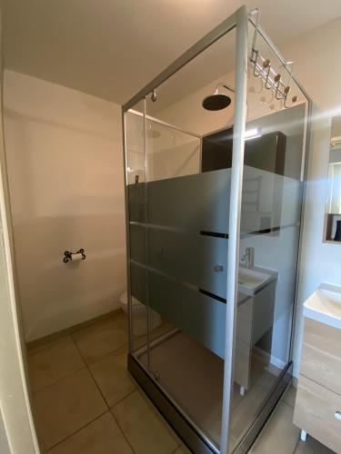 a glass shower in a bathroom with a sink at Ancienne ferme Rougerie in Montech