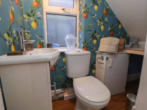 a bathroom with a toilet and a sink at The Lily Pad in Chester