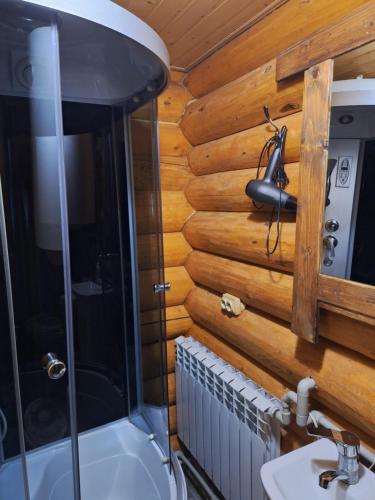 Koupelna v ubytování Лісовий котедж