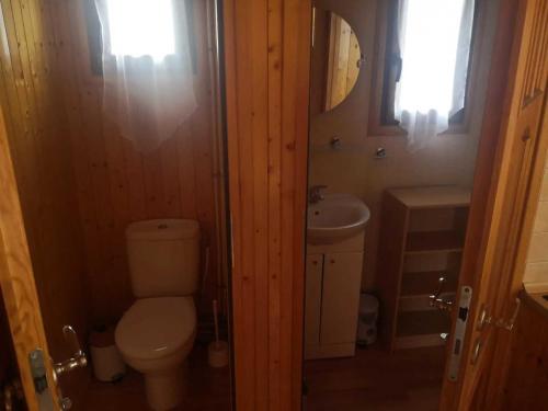 une salle de bains avec toilettes et lavabo dans l'établissement Chalet 2 étoiles - ef0bde, à Neffes
