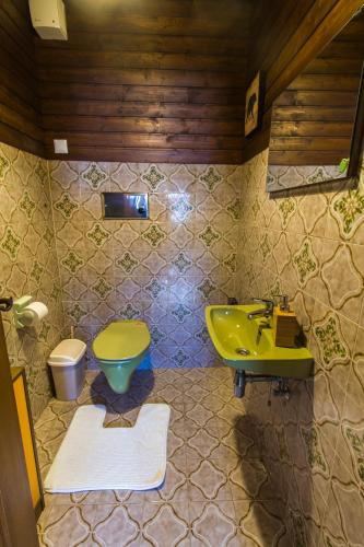 a bathroom with a green sink and a toilet at Apartment Schönblick in Verditz