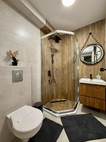 a bathroom with a shower and a toilet and a sink at Dream Apart - Iceberg in Pamporovo