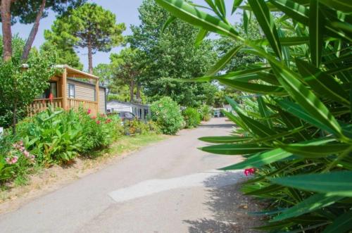 a road leading to a house with plants at Camping 4 étoiles - Piscine - ccbbecd in Le Grau-dʼAgde