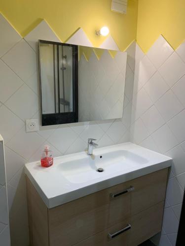 a bathroom with a sink and a mirror at Maison authentique en bord de Meuse in Joigny-sur-Meuse