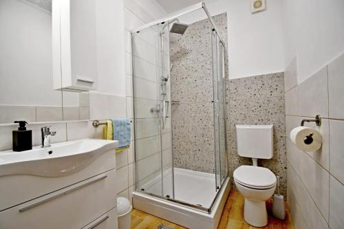 a bathroom with a shower and a toilet and a sink at apartmani Novotny crveni in Banjol